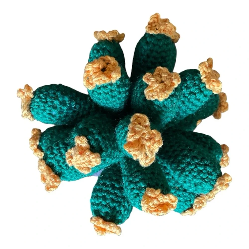 Handmade Blooming Cactus Crochet Succulent with Orange Flowers Desk‎ Decor